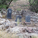 Coronado NF Harshaw cemetery (2214)