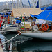 Argostoli Kefalonia Harbour  X Pro 1 2