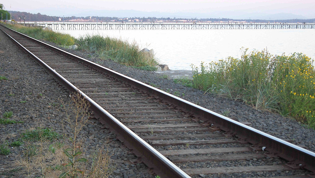 Tracks Along the White Rock Waterfront.