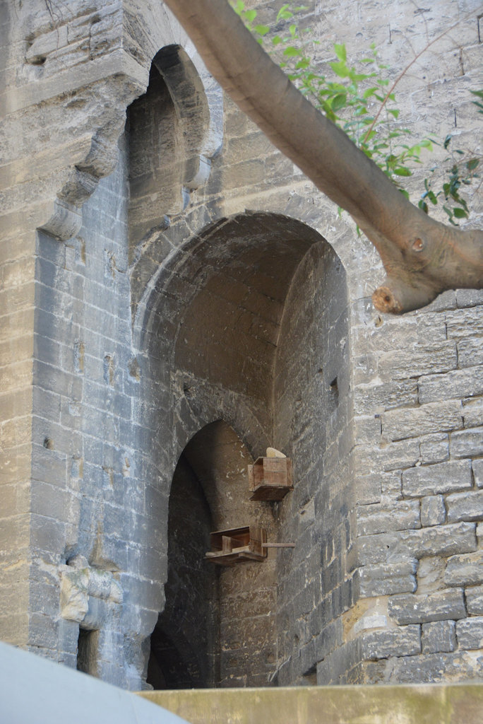 divers angles, mur palais, Avignon