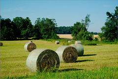 All Baled Up
