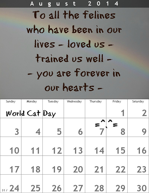 World Cat Day -
