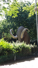 Un mamut (Barcelona)