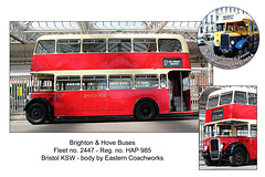 Brighton & Hove 2447 - HAP 985 - Eastbourne Classic Bus Running Day 2014