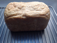 Nächstes Brot (1)
