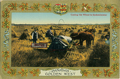3975. Cutting the Wheat in Saskatchewan
