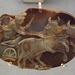 Sardonyx Cameo Perhaps with Julia Domna as the Goddess Luna or Dea Syria in the British Museum, May 2014