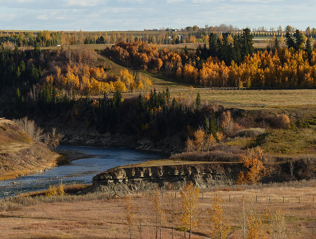 A view from The Saskatoon Farm