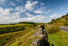 Dartmoor - 20140811