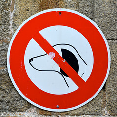 Saint-Malo 2014 – No dogs