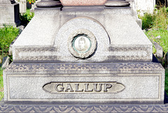 Gallup