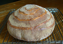 Polenta Bread