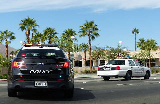 Palm Springs Police Fords - 26 October 2014