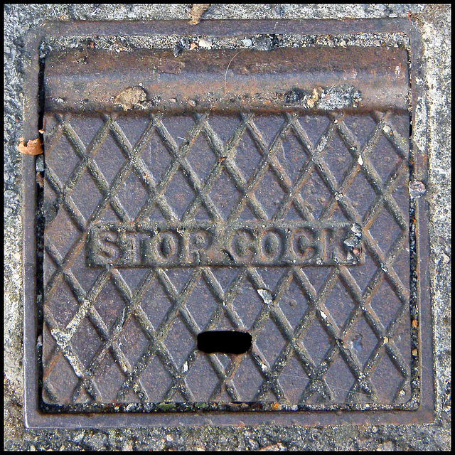 stopcock cover
