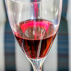 Scarlet Wine