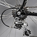 Right rear dropout, 12-25 Campagnolo Record cassette, and Campagnolo Chorus 10 speed derailleur