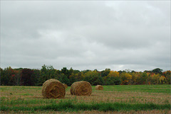 Bales, with Color