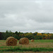 Bales, with Color