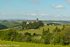 Chianti in Tuscany Landscape - 052614
