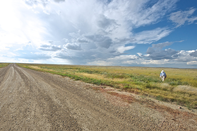 vertical man, horizontal land