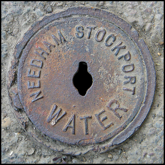 Needham water cover