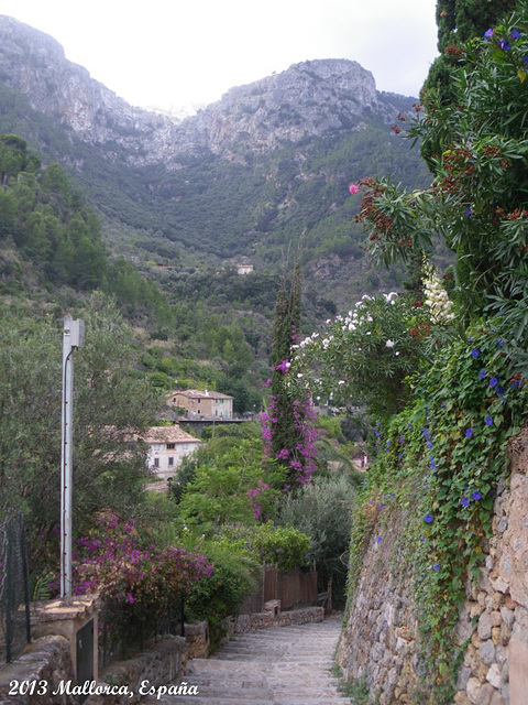 33 Deià View West From Town