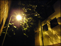 evening lamplight