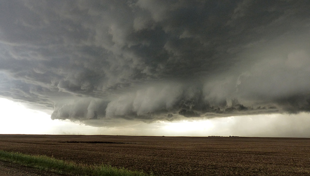 Yesterday's storm clouds near Skiff, Alberta