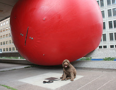 11/50 redball project jour 2