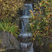 Waterfall at Lauriston Castle
