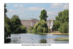 Buckingham Palace from St James' Park - London - 31.7.2014