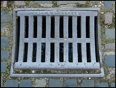 Lucy drain cover