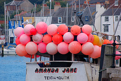 Weymouth: 'Amanda Jane', Teignmouth