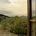Villa Bordoni Greve in Chianti Tuscany - Room with View - 052514-005