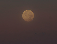 coucher de lune/moonset