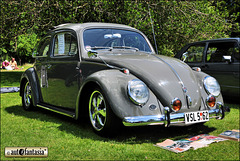 1962 VW Beetle Deluxe - VSL 562