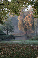 Autumn in Wilhelmsbad