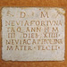 Latin Inscription in the American Academy in Rome, June 2012