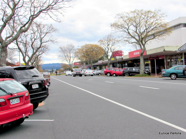 Rotorua City Street.