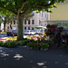 Villefranche sur Saône - le marché aux fleurs