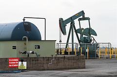 Lincolnshire Oil