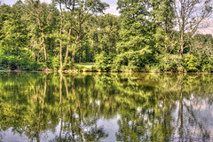 Kačina Château  - Pond