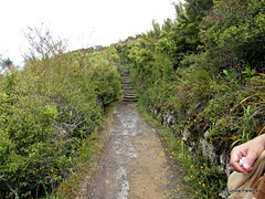 The Steps Back  Down From Lookout.