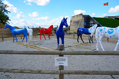 Caen 2014 – Musée de Normandie – Équitations – New colours for horses