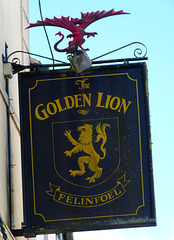 'Golden Lion'