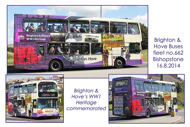 Brighton & Hove Buses 662 - WW1 Heritage livery - Bishopstone - 16.8.2014