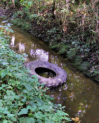 The tyred river Blackwater
