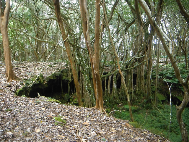 Haena Lava Tube Cave