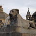 Lion Fountain in Piazza del Popolo in Rome, June 2014