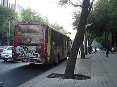 Ali Vianate bus.